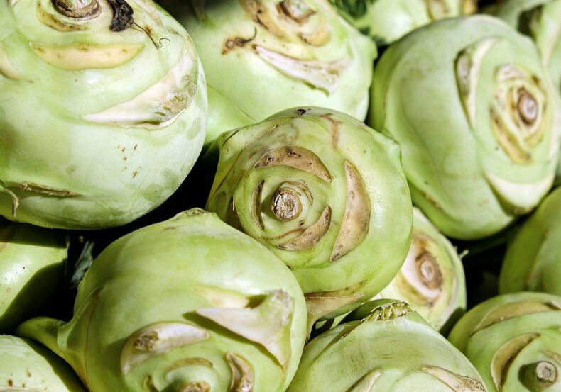 kohlrabi-2266665_1280